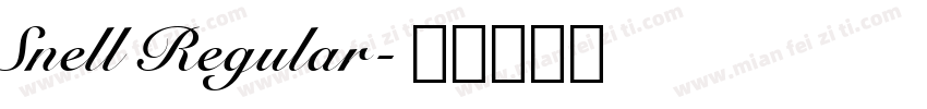 Snell Regular字体转换